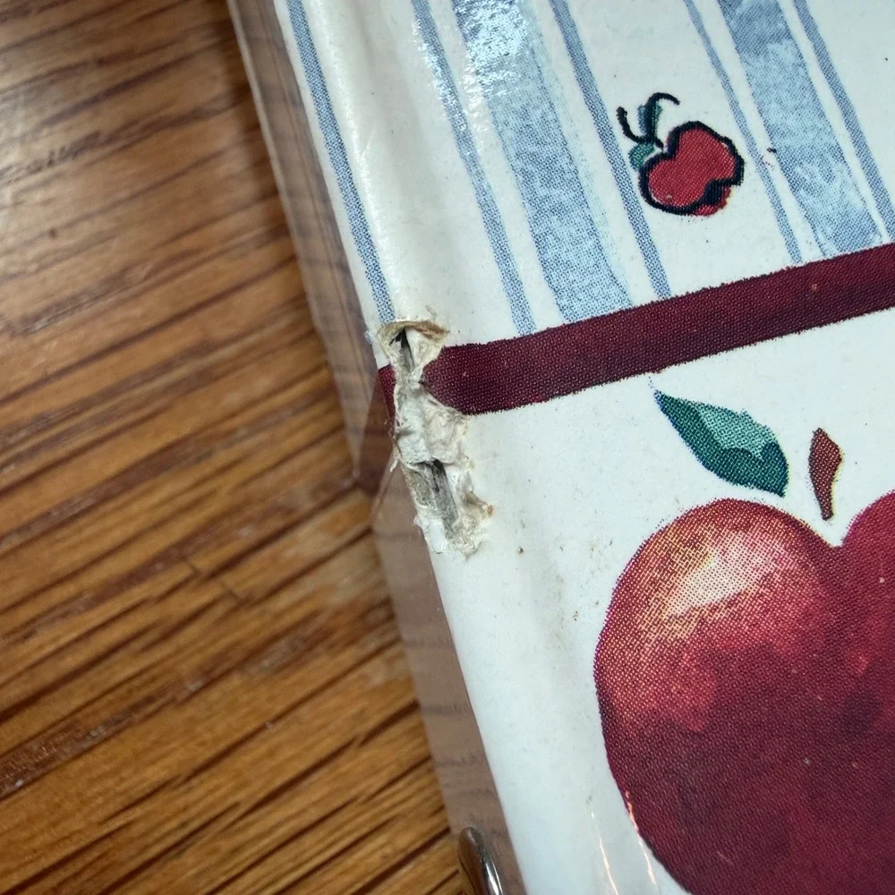 Vintage Apple Print Address Book 6 Ring Binder Organizer Blue White Stripe 90s